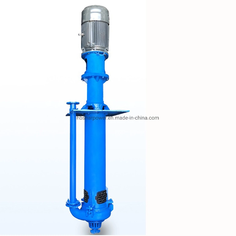 Vertical Under Liquid Slurry Pump Mine Sewage Sewage Pump High Lift River Sand Suction Mud Pump