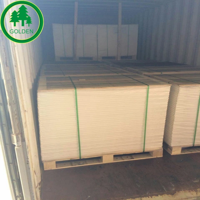 Food Grade Ivory Board Paper/Fbb/Gc2/Sbs