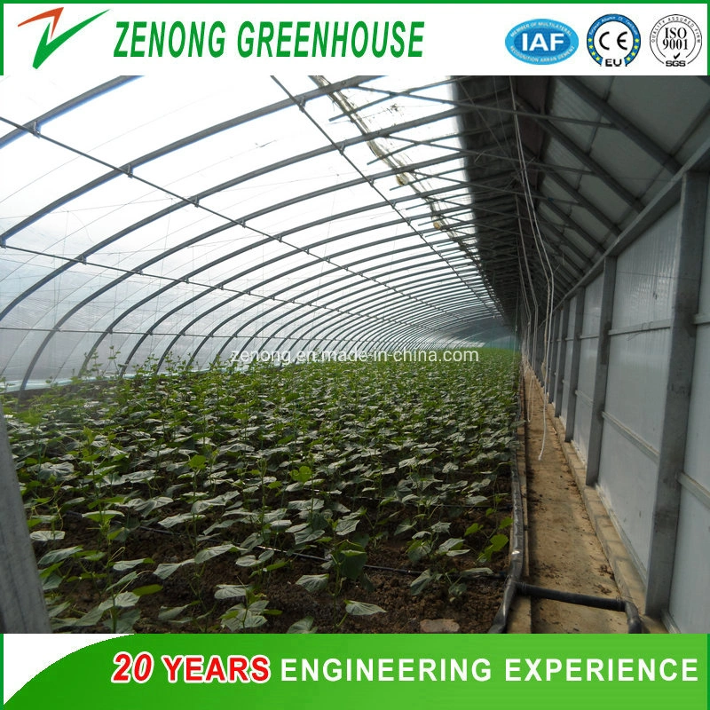 Easy Installation Solar Greenhouse Air Insulation Wall Green Houses Oval Tube Green House with Quilt for Cold Area Agriculture Vegetables Planting