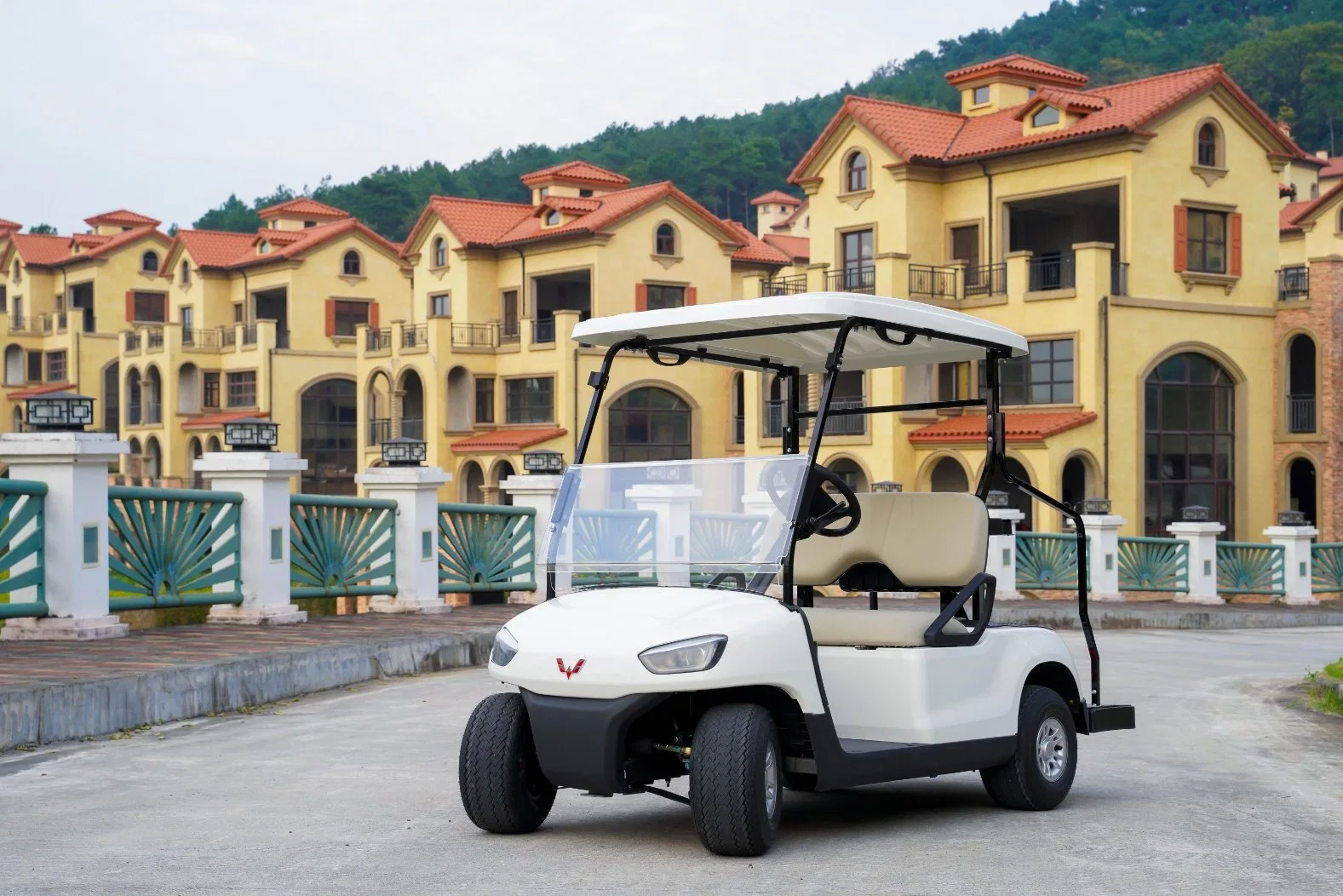 Voiture de golf électrique Voiture de golf électrique bon marché Voiture de golf électrique Club Car avec certificat CE