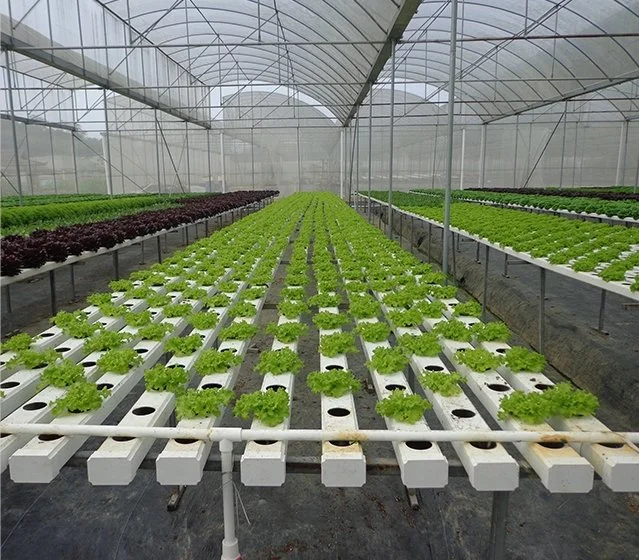 100x100mm Canal Nft Sistemas de Cultivo hidropónico Nft alcantarilla