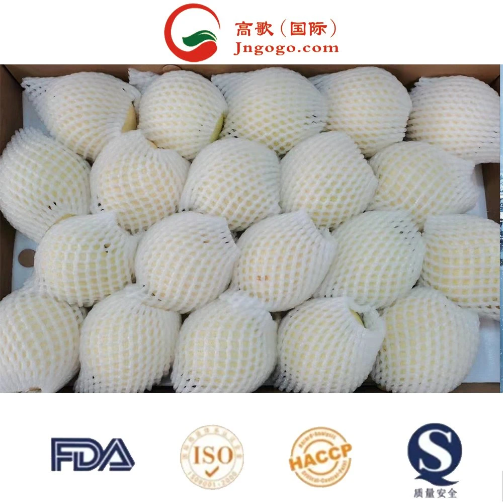 Chinese Fresh Yellow Pear Vitamins Fine Top Grade High Sugar