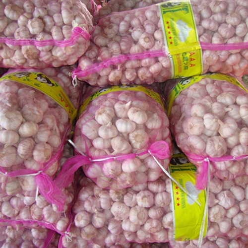 Fresh Garlic High quality/High cost performance  Purple Red Garlic 2022