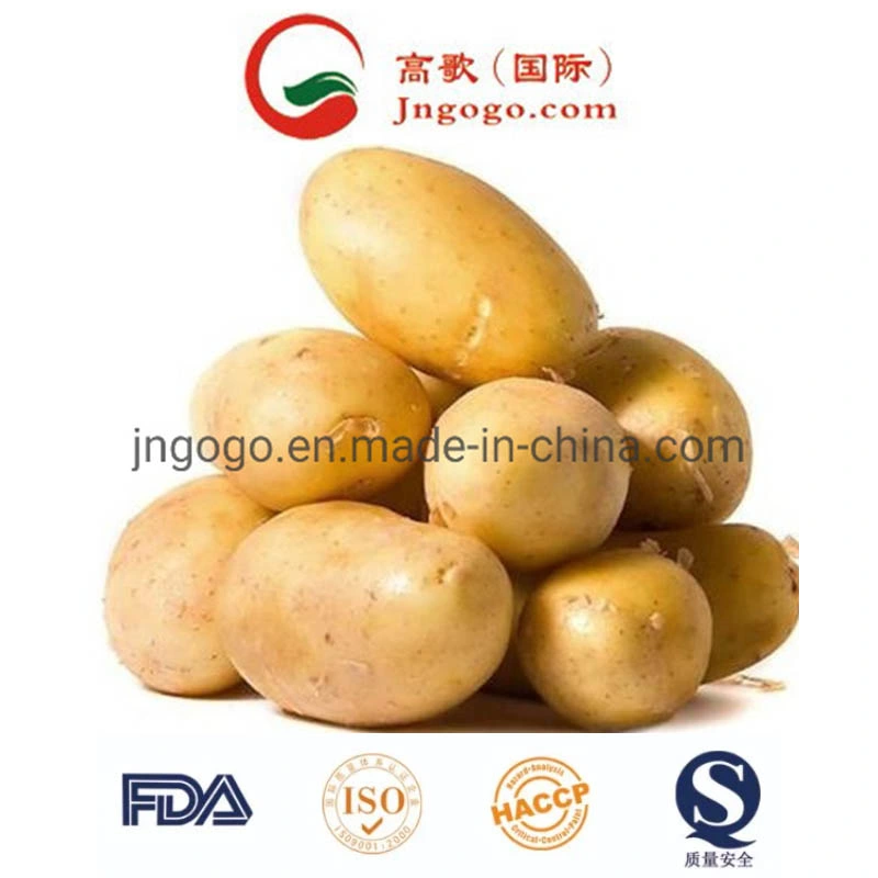 China New Crop Fresh Potato Supplier (50-200G)