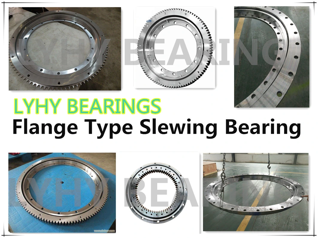 Flanged Slewing Bearings with External Gear 231.20.0600.013 231.20.0700.013 231.20.0800.013 231.20.0900.013 231.20.1000.013 Swing Ring