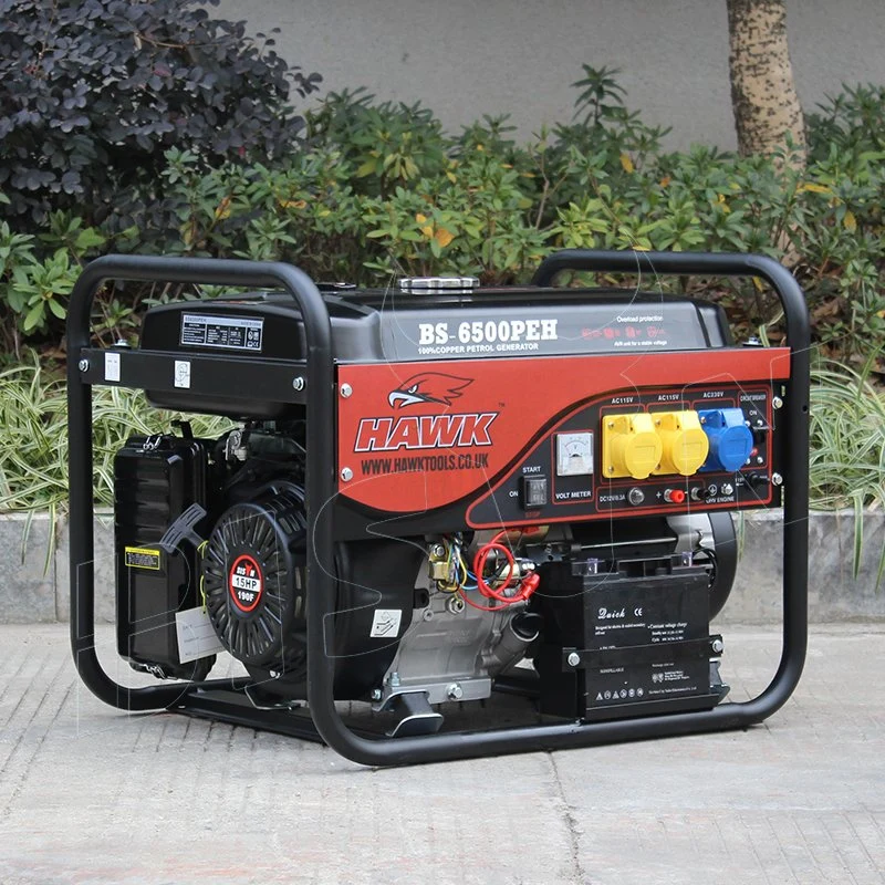 Bison 5kw 5.5kw Ohvportable Petrol Generator 12V DC 110V-240V 5kVA Gasoline Gas Generator