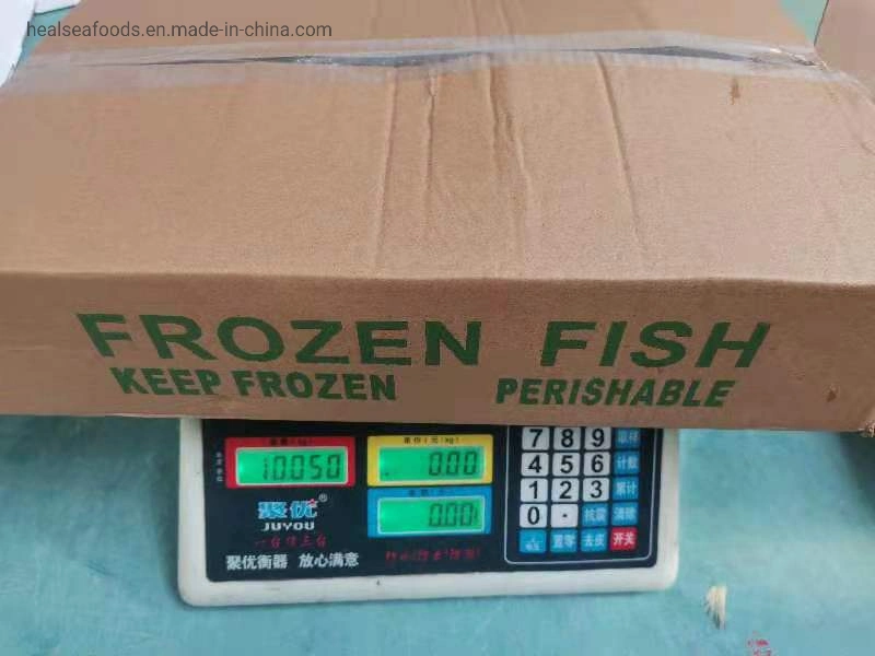 Supplier Importers Frozen Fish Prices Whole Frozen Horse Mackerel Namibia Horse Mackerel