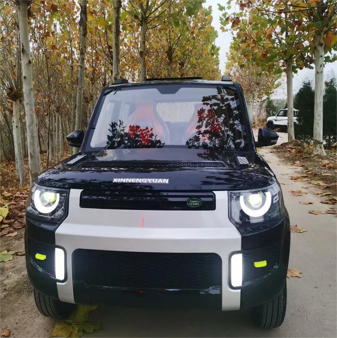 Low-Speed Vehicle off-Road Vehicle Hybrid Solarlithium Battery Electric Vehicle