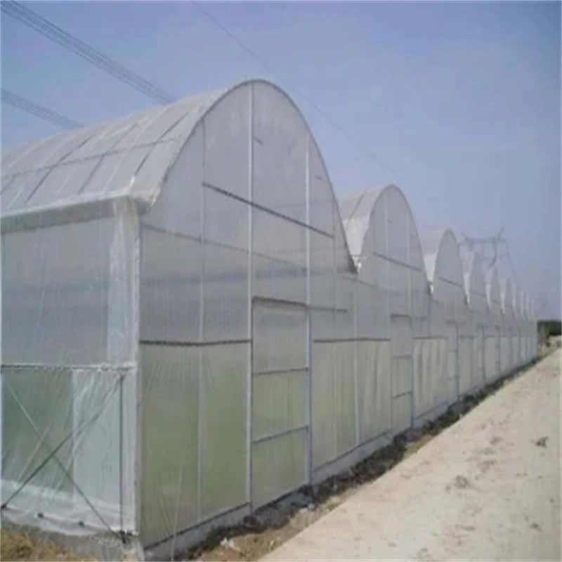 Smart Agricultural Multi Span Arch-Type Film PE Greenhouse for Vertical Farming Agriculture of Vegetables/Flowers/Tomato/Garden with Hydroponics System