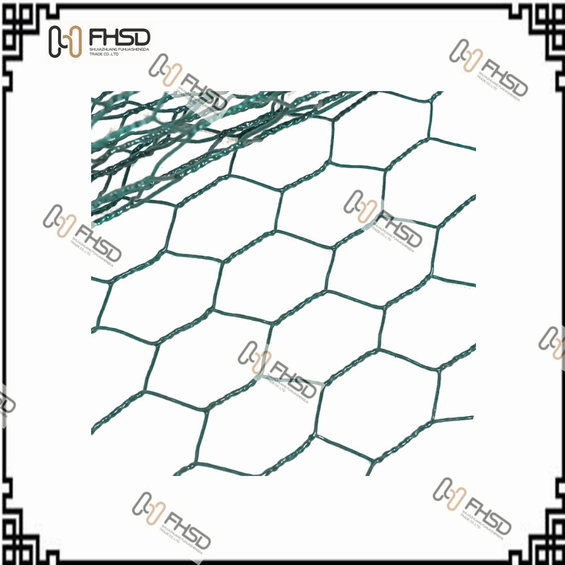 PVC-Coated/Stainless Wire Twist Hexagonal Construction/Farming Protection Mesh /Wire Nail /Barbed Wire