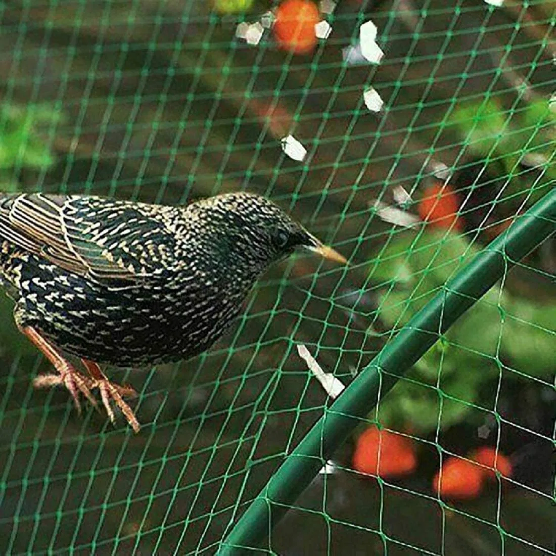 Ustomized Agriculture Green Color 30GSM Knitted Bird Netting