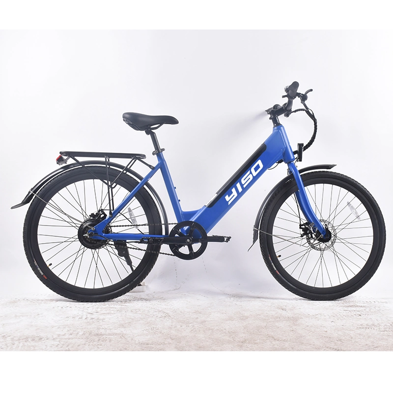 Electric Bicycle Parts for Europe Market