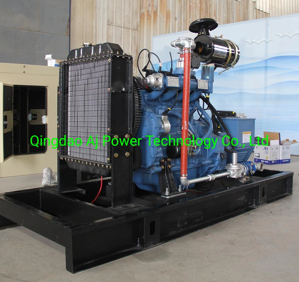 Conjunto de geradores Ricardo Biogas de 28 kW e 35 kVA fabricado na China