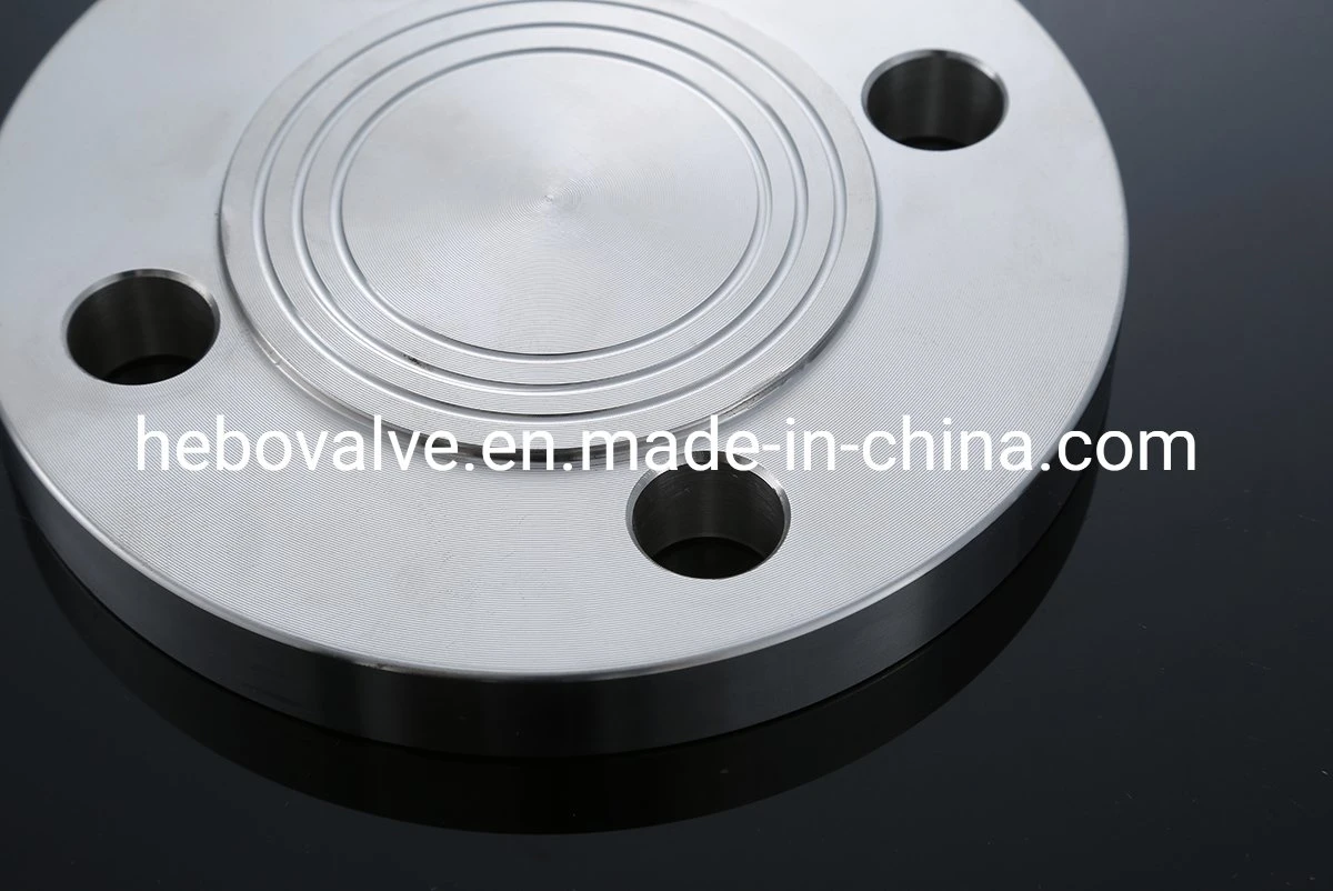 ASME B16.5 Forged Stainless Steel Blind Flange Pn16