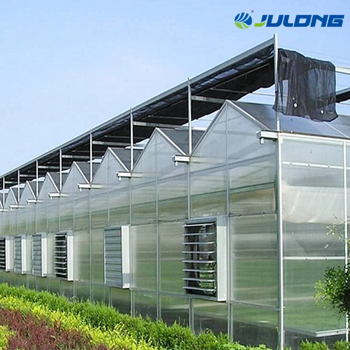 Venlo Poly Polycarbonate Sheet Greenhouse for Potato Flowers House