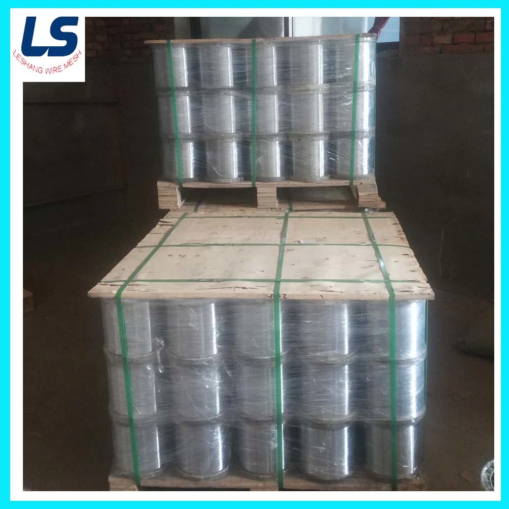 0.20mm Galvanized Wire/Stainless Steel 410 Wire for Scourer Wire