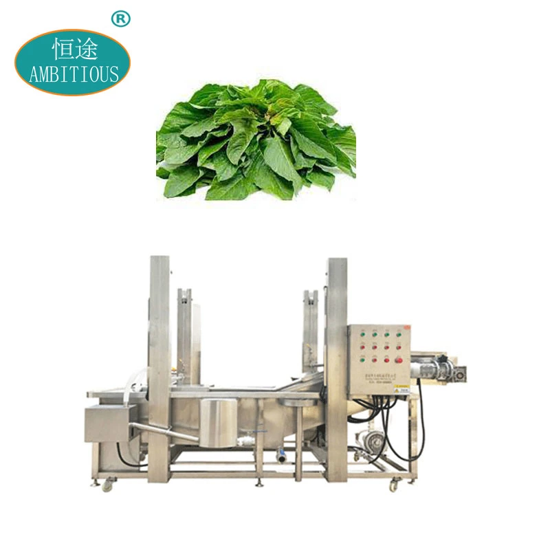 Water Spray Vegetables Amaranth Leaves Washing Machine Amaranth Leaves Washer