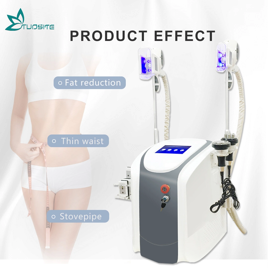 Lose Weight & Cryolipolysis Vacuum Beauty Machine