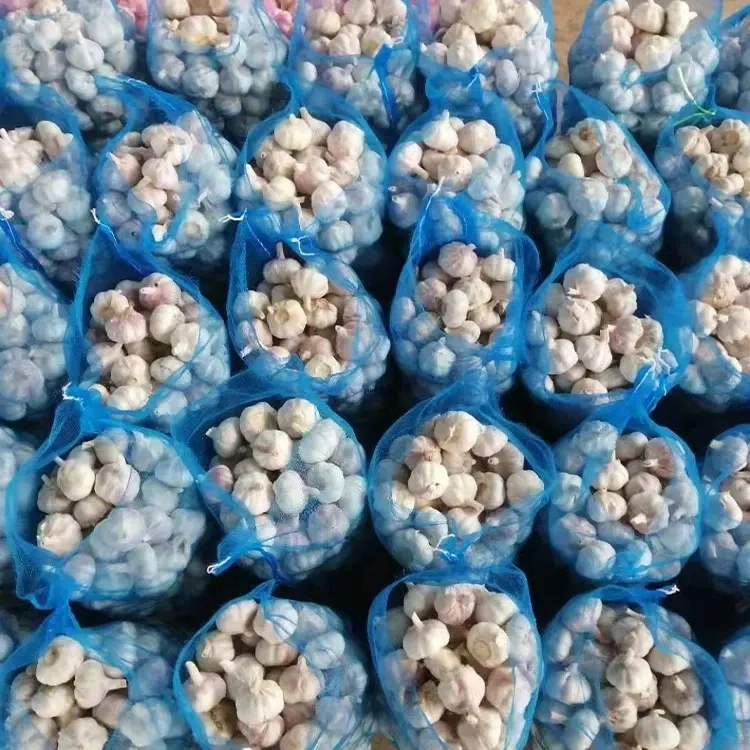 2023 Newest Crop of Garlic Import Chinese Garlic