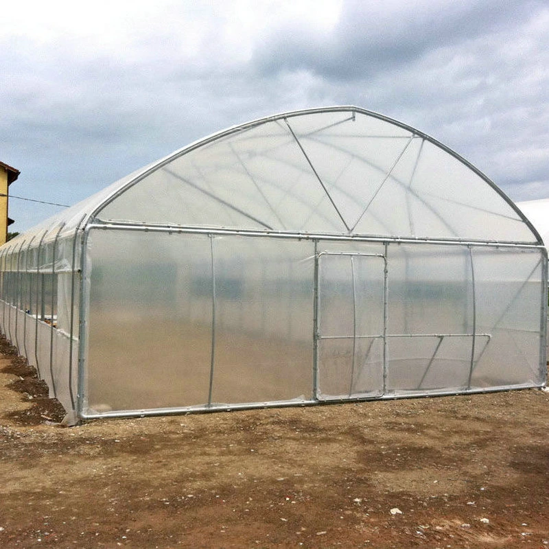 China Single Span Tunnel Greenhouse Made Used for Agriculture