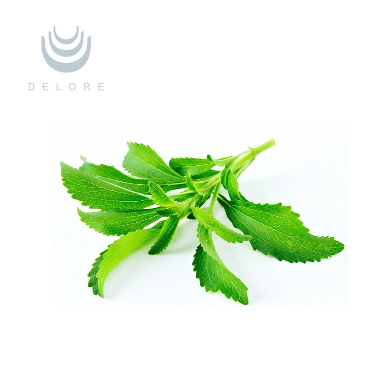 Best Price Organic Stevioside 98%/Stevioside Ra 98% Usine De Sucre De Stevia Stevia Leaves Extract