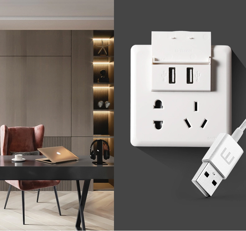 Modern Electrical Wall Socket with USB Charger Port
