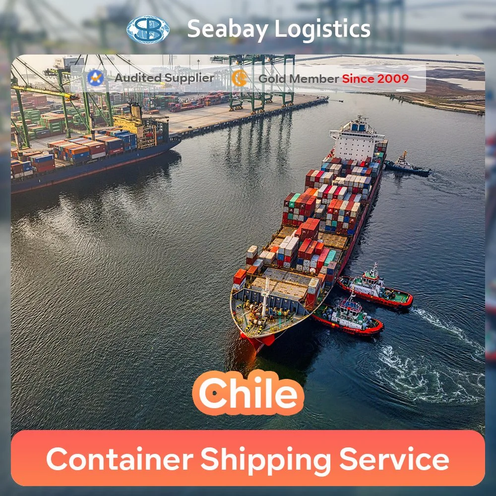 Carga marítima de consolidación de China a Chile o servicio profesional de envío de contenedores de Chile