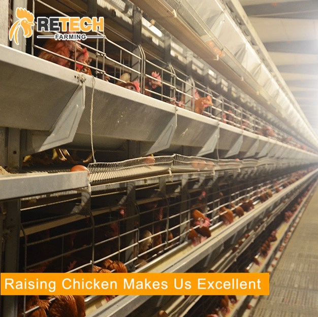 Design 4 Tiers Automatic Battery Cage for Poultry Layers