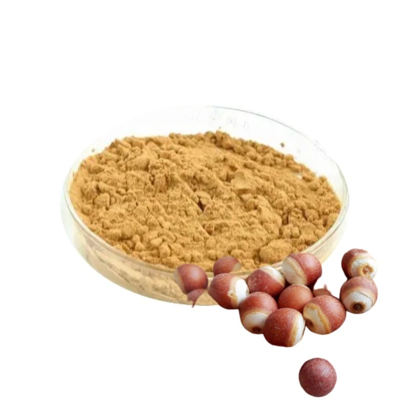 Herb Extract Health Protection Additives Protect Ppleen and Stomach Semen Euryales Powder