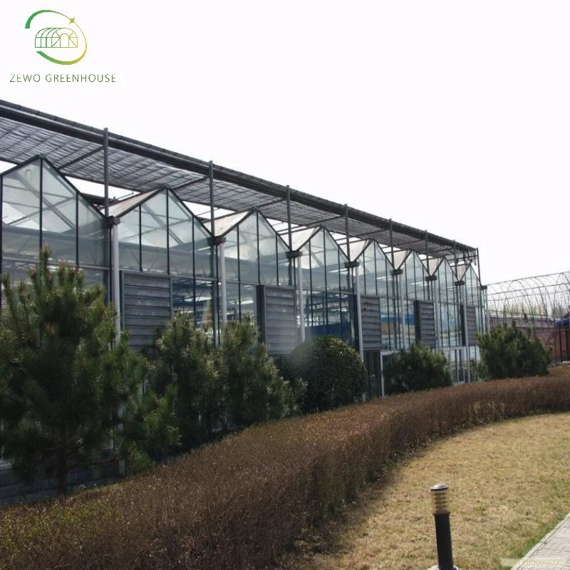 Commercial Venlo Type Tempered Glass Greenhouse with Grow Light Honyu Global