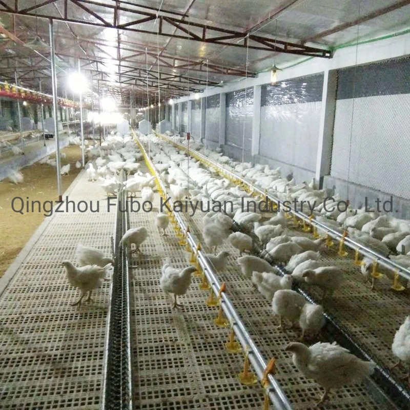 Poultry Farm Feeding and Drinking System for Chicken House Poultry Farm