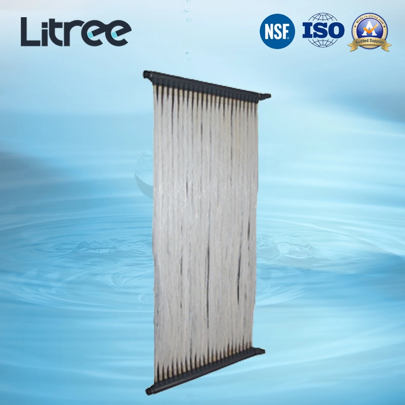 Litree PVDF UF Membrane Ultrafiltration Mbr System for Domestic Sewage Treatment Equipment