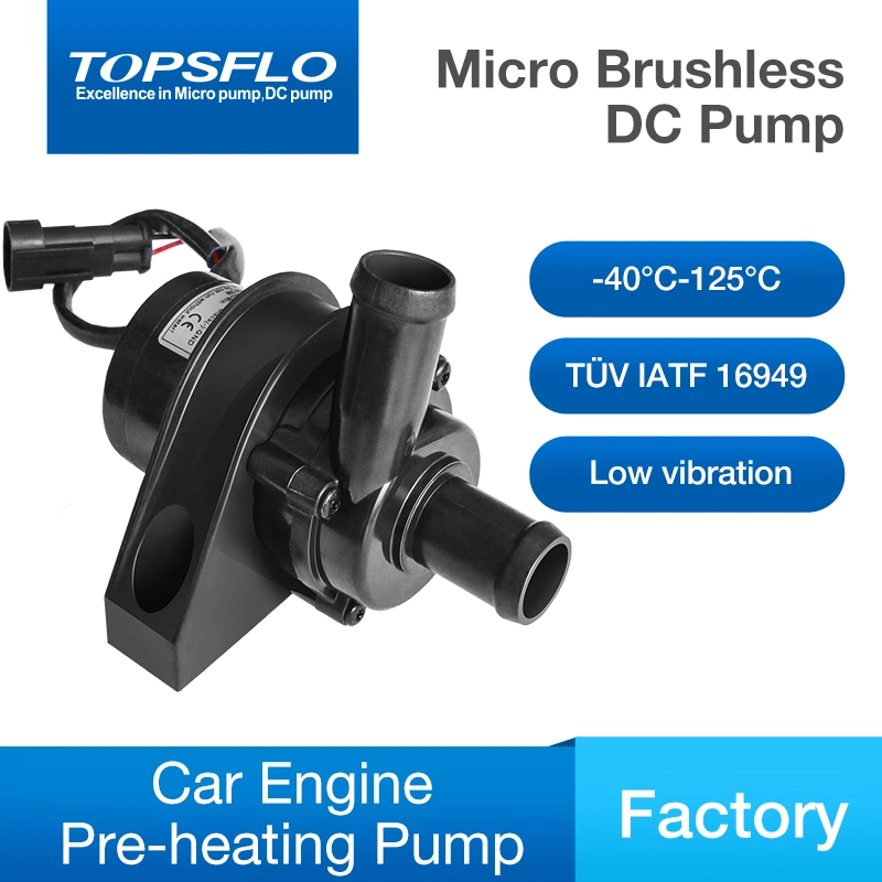 Electric Bus Water Webasto Heater Pump DC Brushless Motor, DC Motor 12V 24V DC