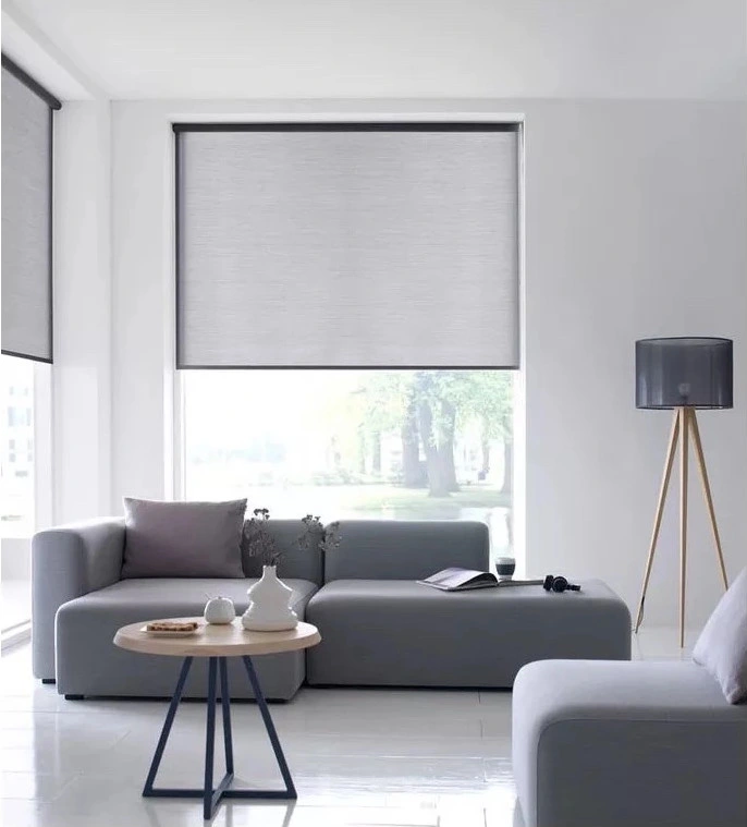 Znz Popular Roller Blind Fabric Simply Style Horizontal Sunscreen Fabric