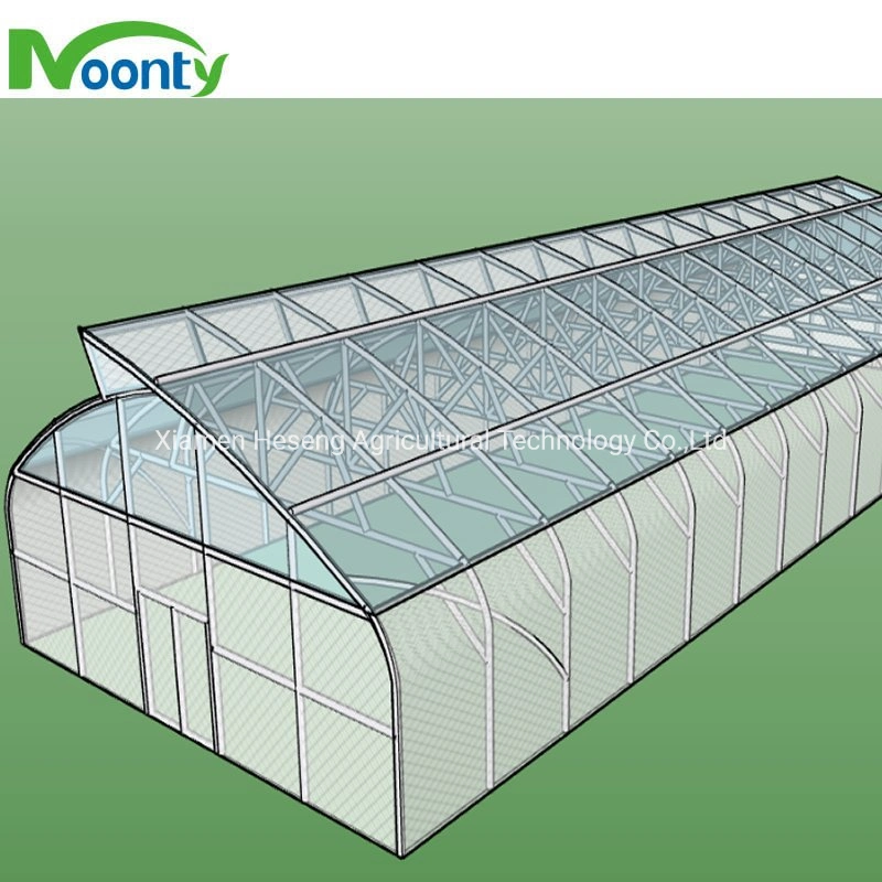 الزراعة الرخيصة Single span Poly Film Tunnel Greenhouse مع الري و نظام زراعة النباتات النباتية النباتية