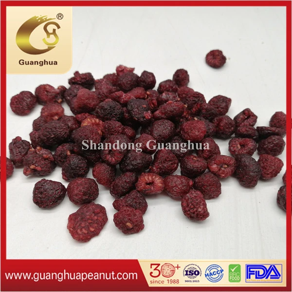 High quality/High cost performance  Dried Blueberry with Best Taste