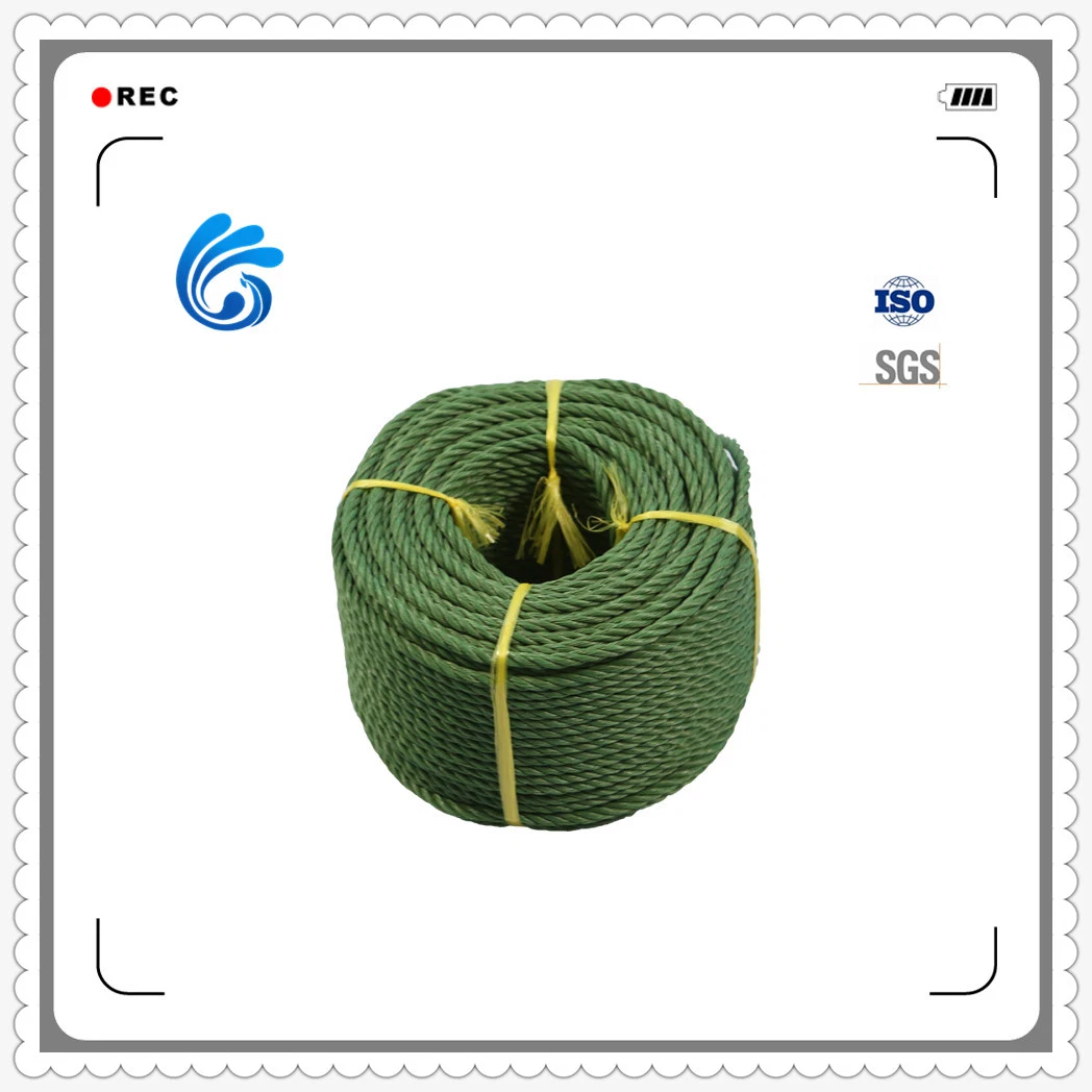 Customized Twisted PE Twine with High quality/High cost performance  and Competitive Price