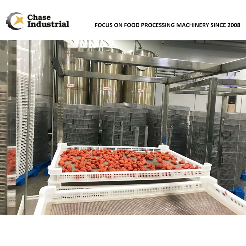 World High-End Blackberry Paste Production Concentration Plant