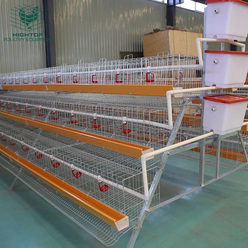 Manufactory Hightop Brand Multiple Tiers Salt Corrosion  Chicken Layer Cages For Poultry Farm