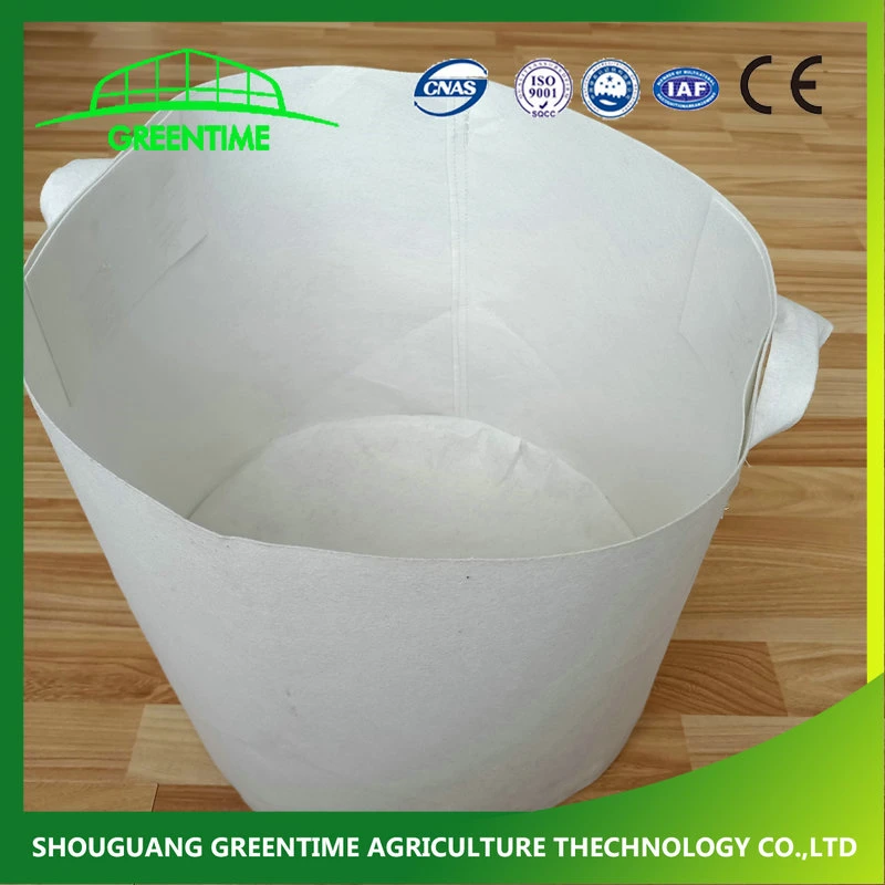 Factory Price High quality/High cost performance  Plant Bag PP/Plastic/Non Woven Fabric Grow Bag for Potato/Garden Planting/Flower Pot