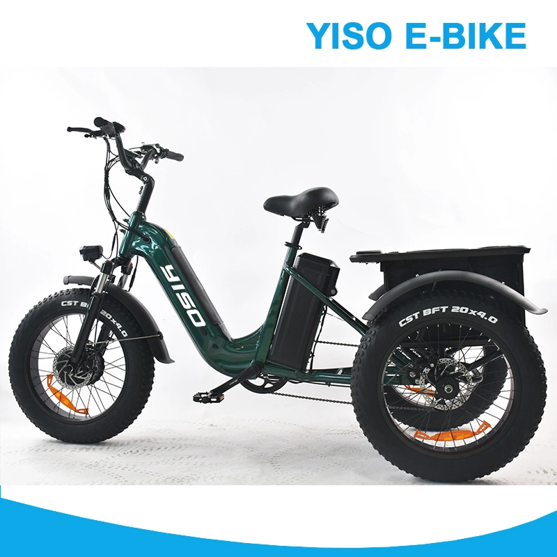 Big Tire Folding Tricycle eléctrico eBike 750W