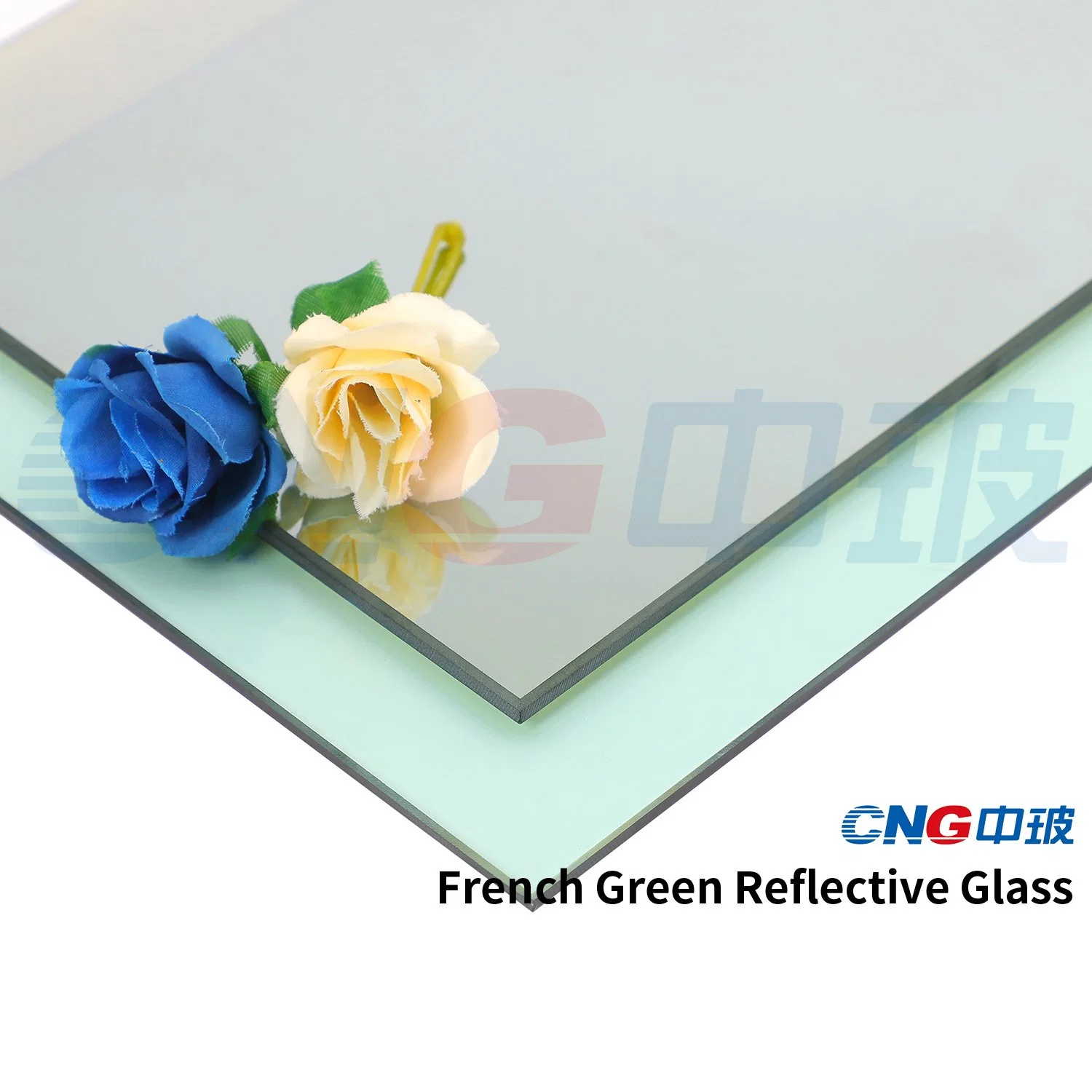 Clear Dark Blue Green Euro Bronze Grey CNG Float Tinted Reflective Glass