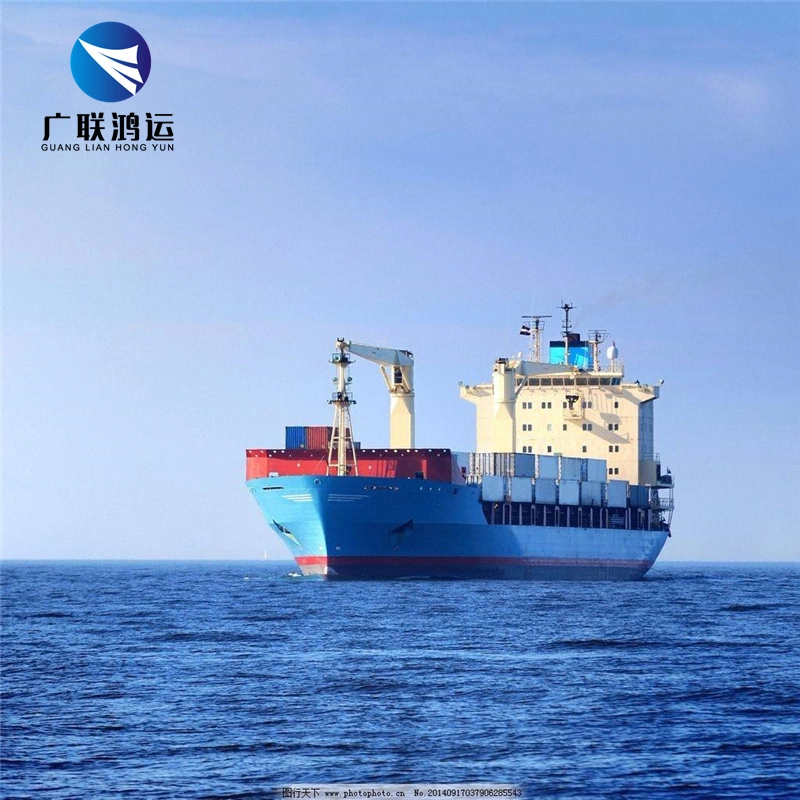 Fast Delivery Ocean Freight Sea Shipping Agent with Competitive Price From Shenzhen Logistics Companies