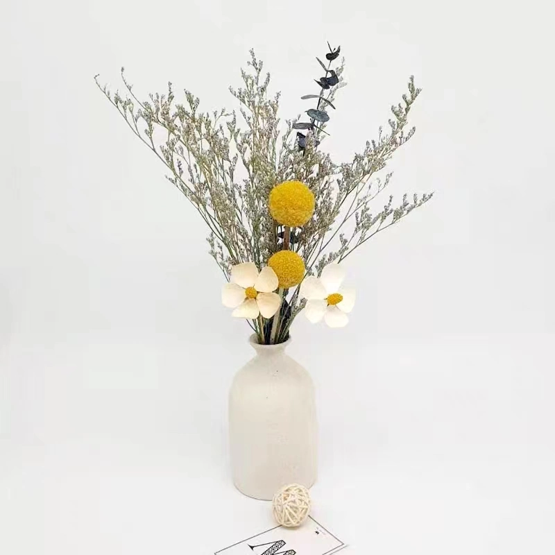 Natural Handmade Dry Flower with Cotton Eucalyptus for Home Decoration