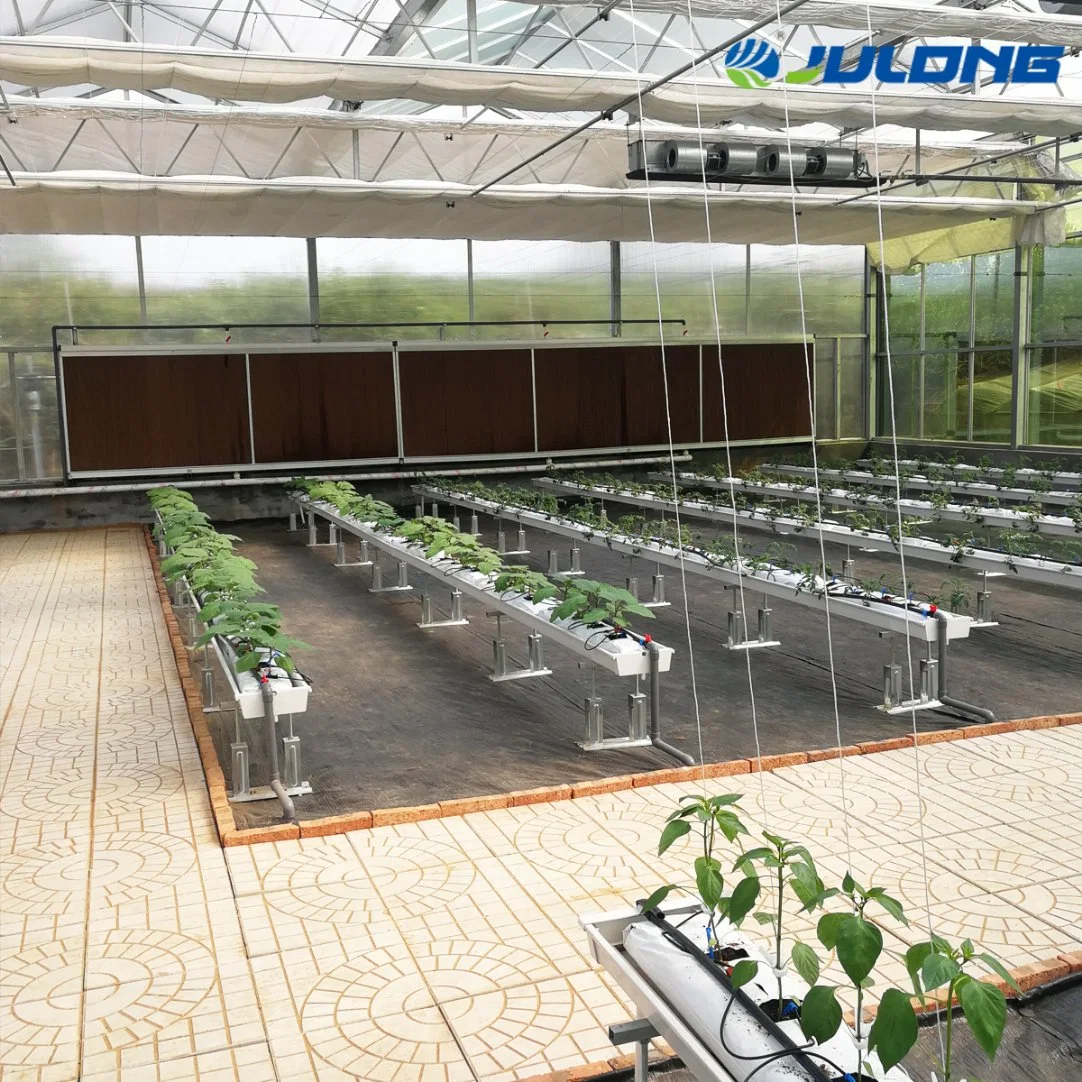 Complete Glass Multi-Span Greenhouse for Agricultural