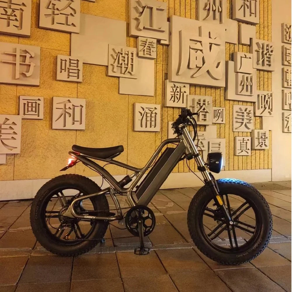 Scooter para bicicletas elétrica de 500/700 W economizadora de energia