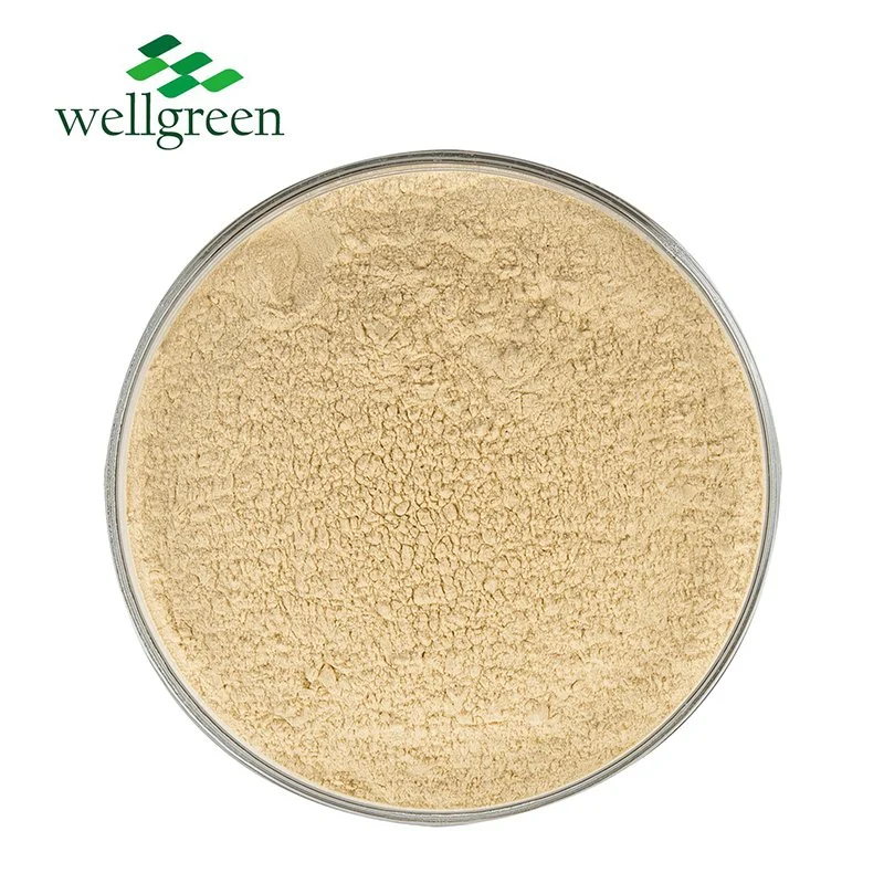 Top Grade Natural Korean Red Ginseng Powder Red Ginseng Root Extract Powder