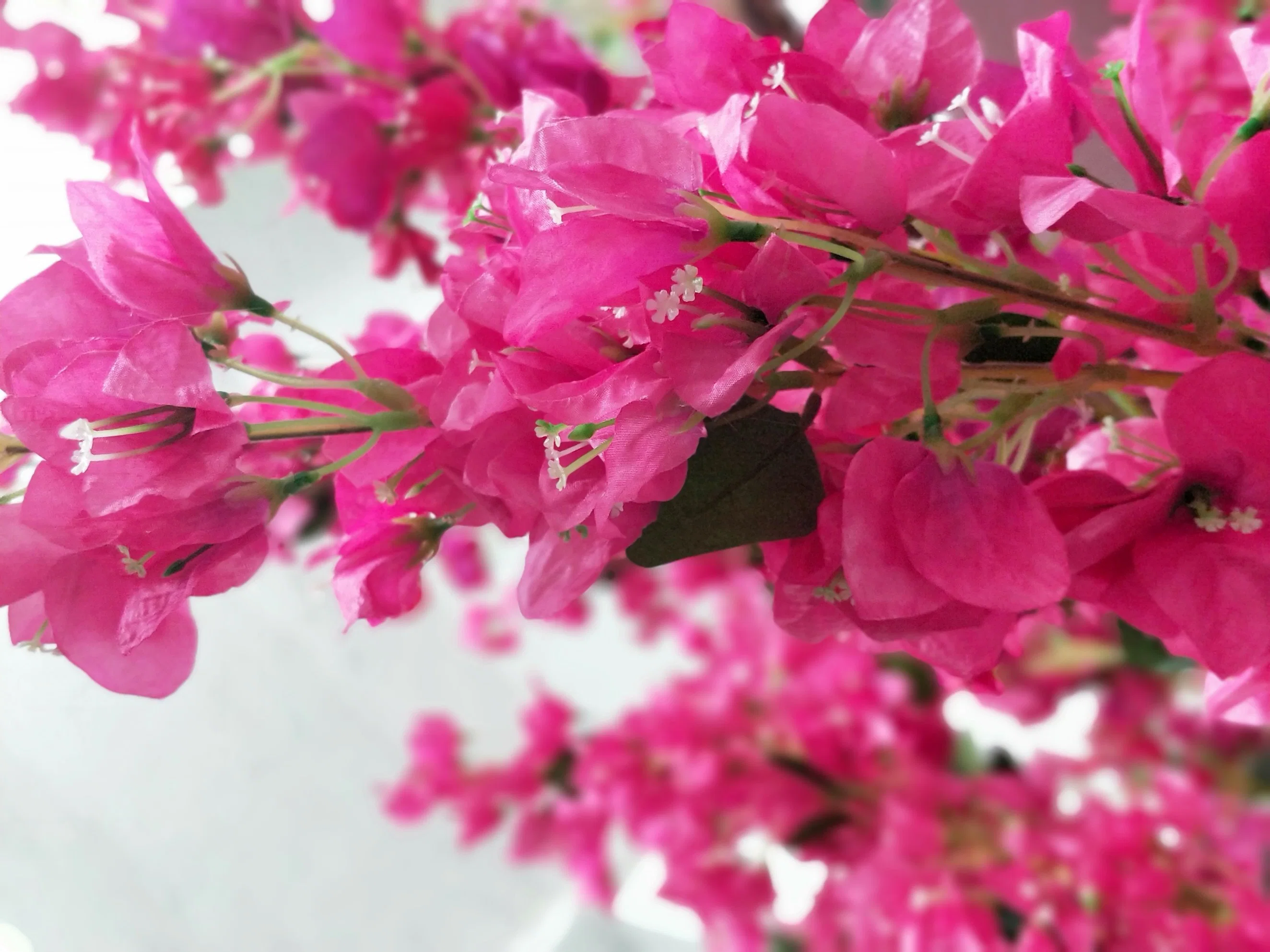 Les fleurs en soie de bougainvillées Triangle artificiel Fleur prune