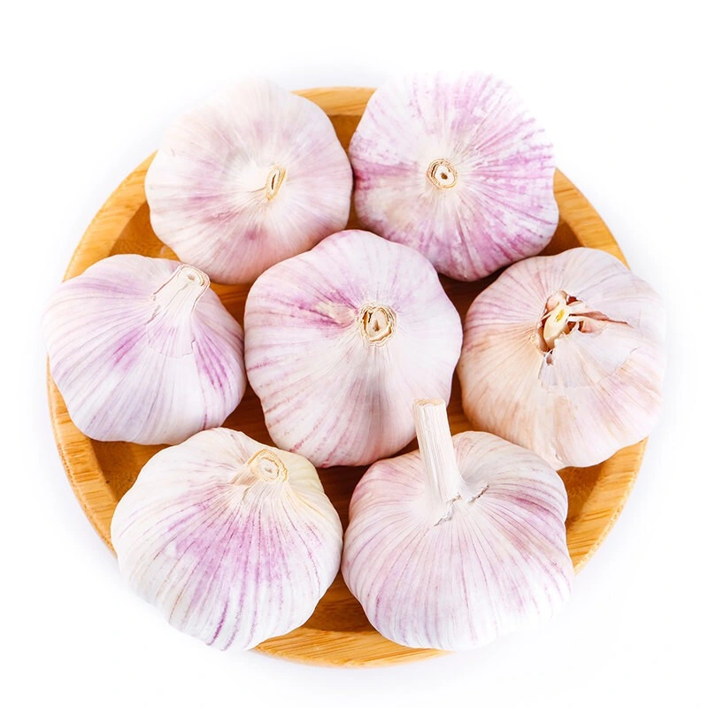 Wholesale/Supplier Fresh Garlic White Garlic with Per Ton Price