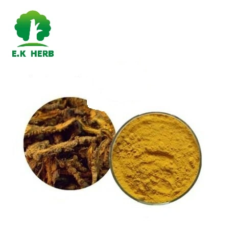 E. K Herb Kosher Halal Certified Manufacturer 12 Years Directly Supply 100% Natural Berberine HCl Barberry Extract Berberis Aristata Extract with Best Price